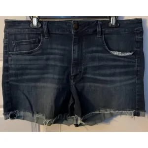 American Eagle Stretch High Rise Shortie Shorts 4.5 in inseam Blue Denim 18