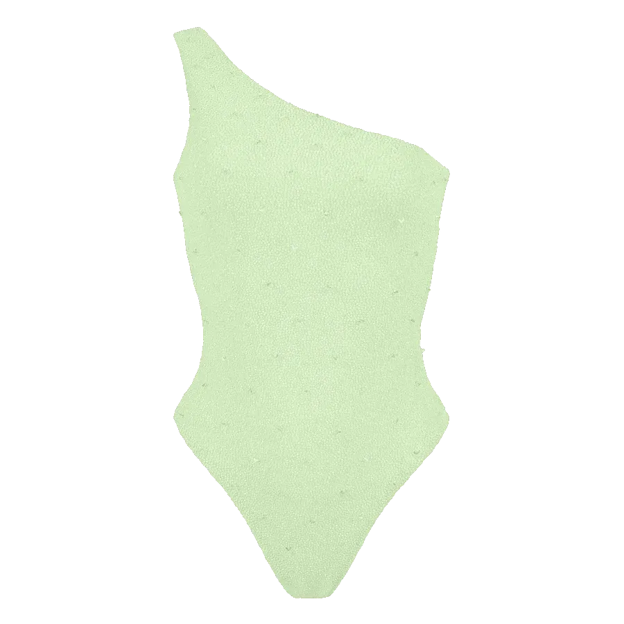 Ariel One Shoulder Beaded Swimsuit