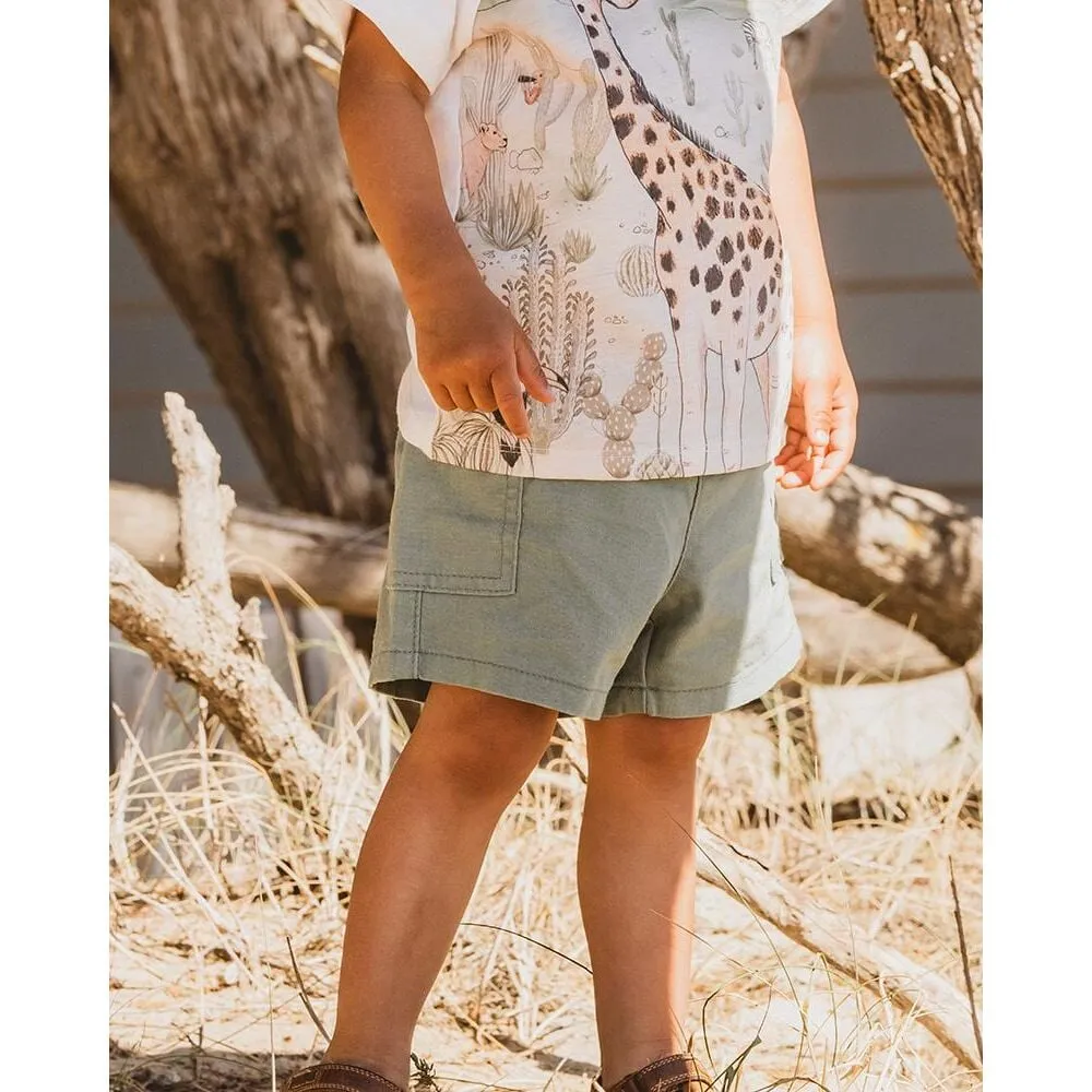Boys Green Shorts