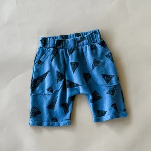 Ivan-Triangle Shorts | Denim