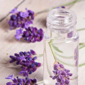 Lavender Hydrosol Organic