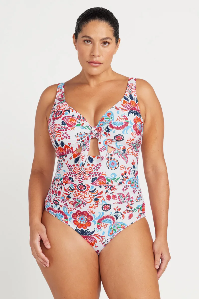 Loquacious Cezanne D - E  Cup Underwire One Piece