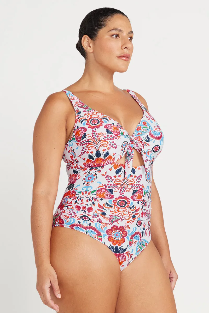 Loquacious Cezanne D - E  Cup Underwire One Piece