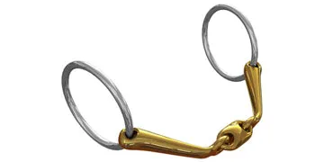 Neue Schule Starter Bradoon