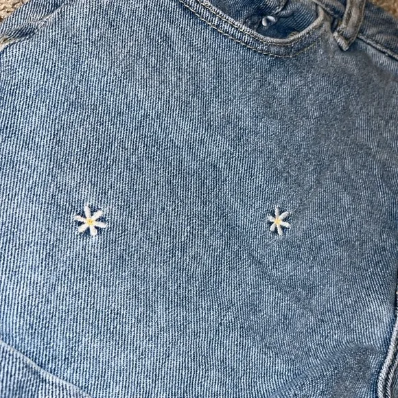 Pacsun Raining Daisy Denim Mom Shorts Size 27