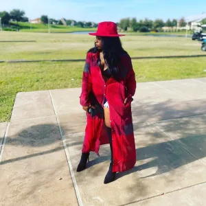 Red Linen Plaid