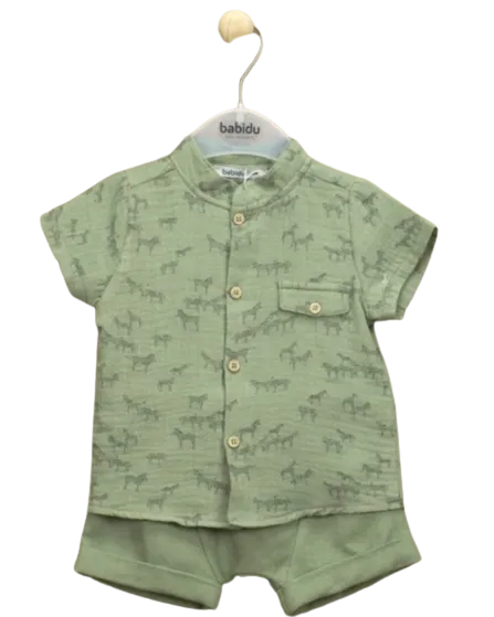 Safari Set