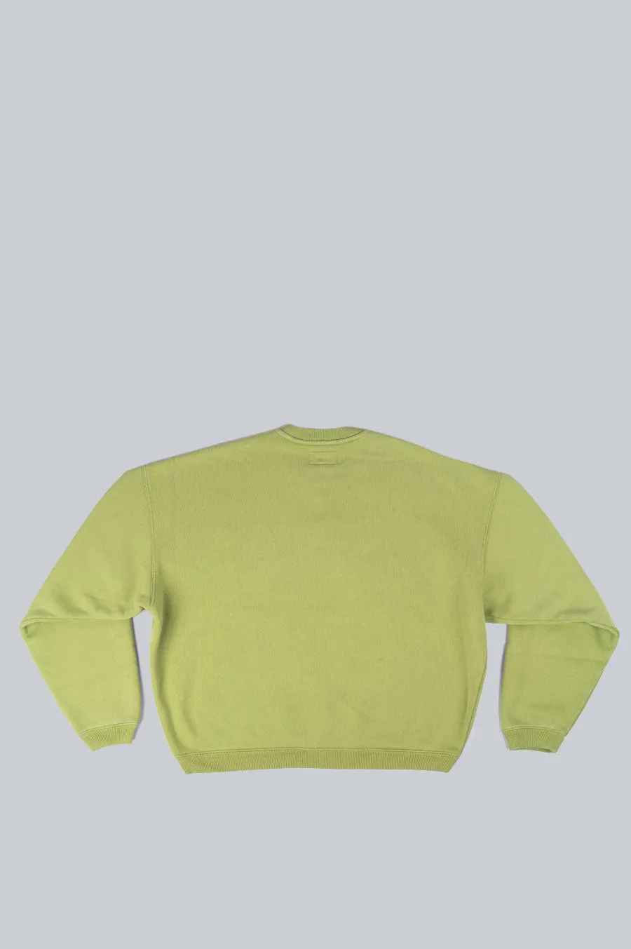 STUSSY BIG CRACKLE SPORT CREWNECK GREEN