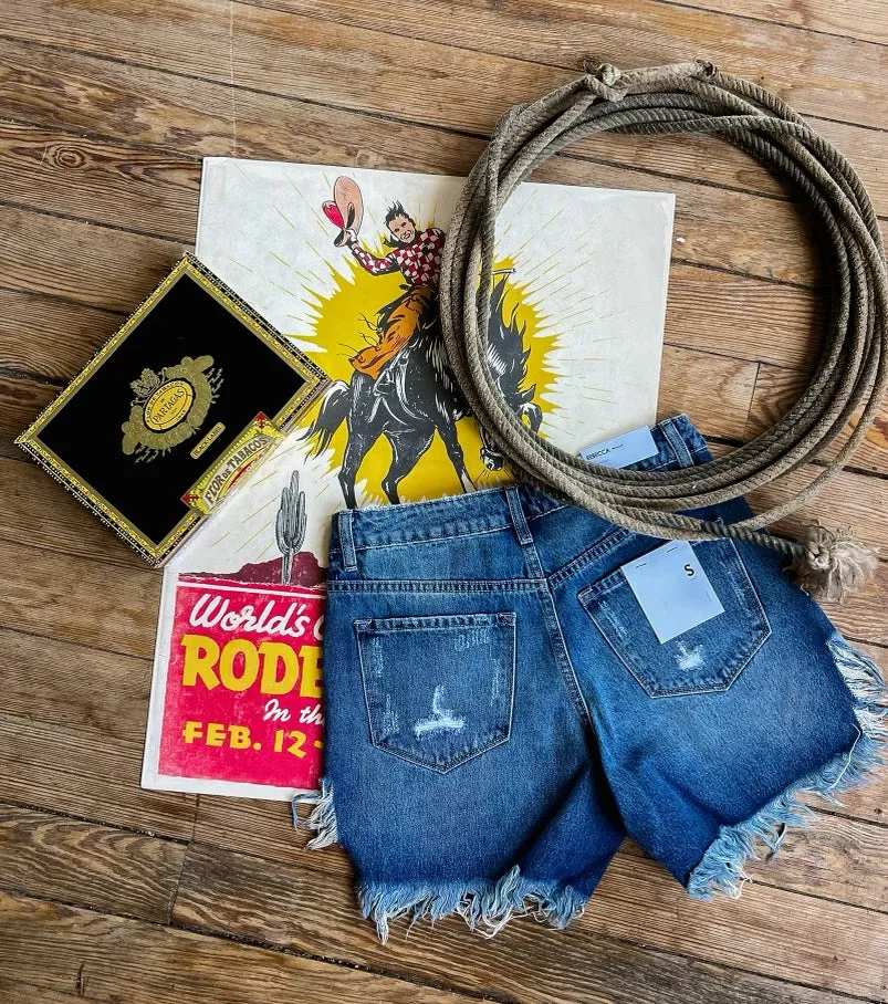 The Harmonious High Rise Shorts