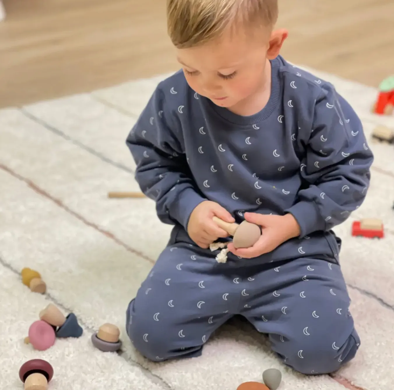 Wood   Silicone Mushroom Sorting Set