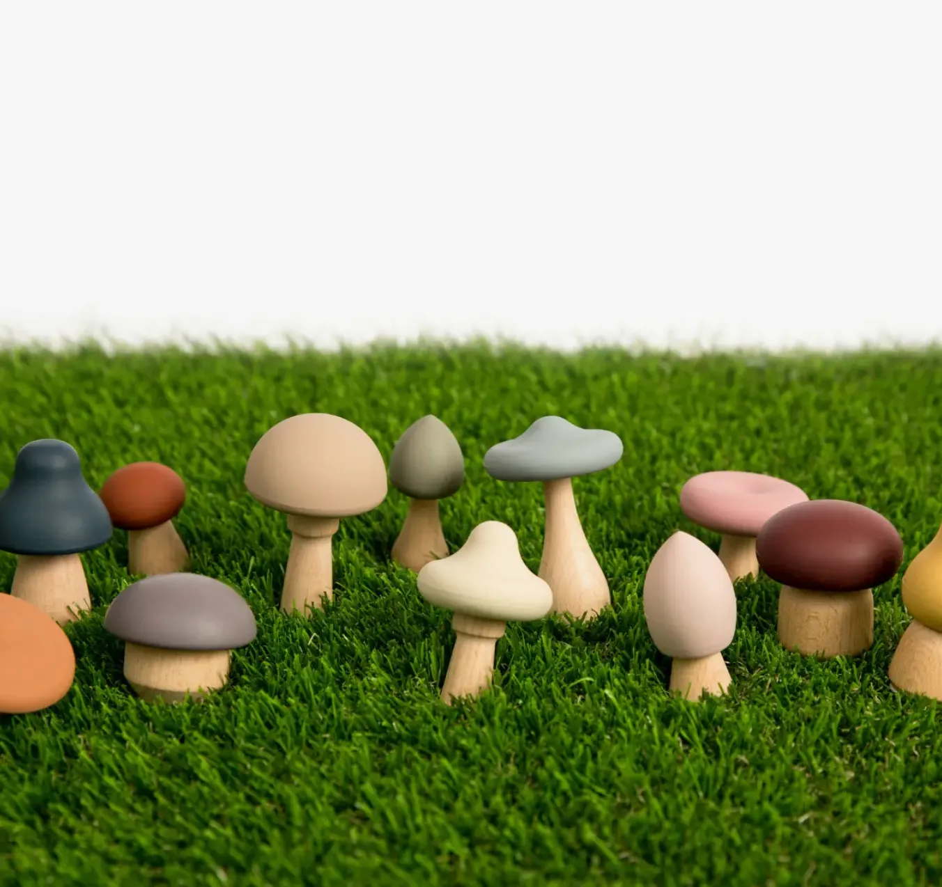 Wood   Silicone Mushroom Sorting Set