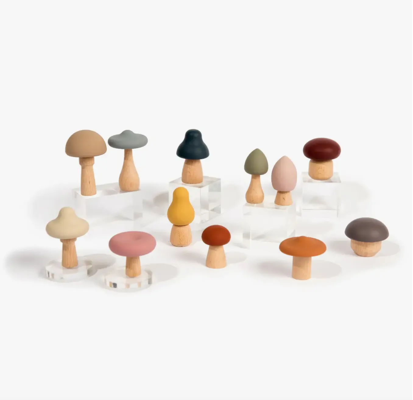Wood   Silicone Mushroom Sorting Set