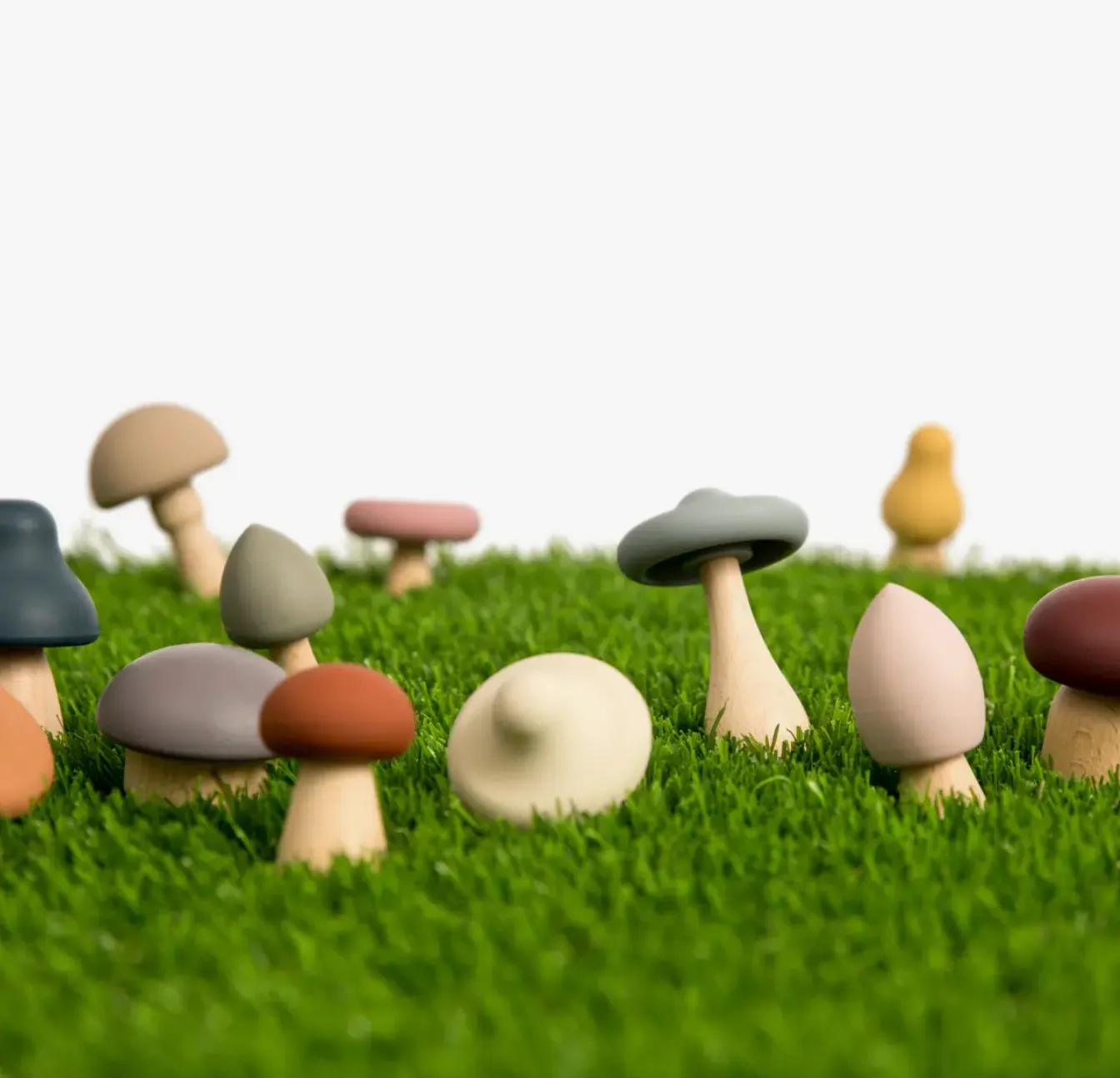Wood   Silicone Mushroom Sorting Set